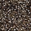 Glass Seed Beads X1-SEED-S042-04A-09-3