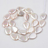 Electroplate Natural Freshwater Shell Beads Strands X-SHEL-R049-026B-2