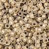 TOHO Round Seed Beads X-SEED-TR08-0989FM-2