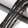 Natural Imperial Jasper Beads Strands G-Q171-A01-01A-2