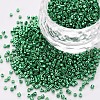 Plated Glass Cylinder Beads SEED-S047-E-002-1