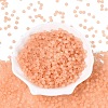 FGB Frosted Transparent Glass Seed Beads SEED-N013-04A-04-2