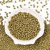 Baking Paint Glass Seed Beads SEED-T006-03W-1