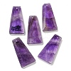 Natural Amethyst Pendants G-G123-02G-1
