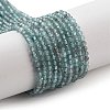 Natural Apatite Beads Strands G-G140-A16-07-1