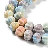 Natural Rainbow Alashan Agate Beads Strands G-NH0022-H01-01-4