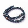 Natural Bloodstone Beads Strands G-N0120-25-10mm-2