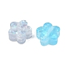 Transparent Resin Beads RESI-P046-14A-M-2