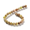 Dyed Natural Regalite/Imperial Jasper/Sea Sediment Jasper Beads Strands G-B124-C01-08-3