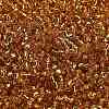 TOHO 6/0 Round Beads SEED-XTR06-0022B-3