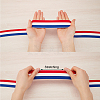 4.7 Yards Flat Nylon Striped Elastic Band OCOR-GF0003-84C-3