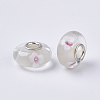 Handmade Lampwork European Beads LAMP-S193-004G-2