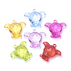 Transparent Acrylic Pendants TACR-T002-07-1