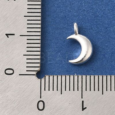 925 Sterling Silver Charms STER-G043-05B-S-1