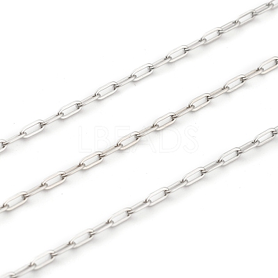 Non-Tarnish 3.28 Feet 304 Stainless Steel Paperclip Chains X-STAS-H111-03P-1
