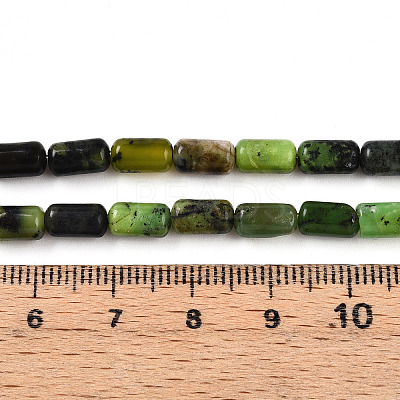 Natural Serpentine Beads Strands G-N346-01A-04-1