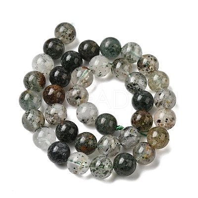 Natural Gemstone Beads Strands G-D359-B02-10mm-1