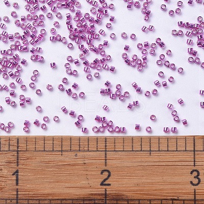 MIYUKI Delica Beads X-SEED-J020-DB0425-1