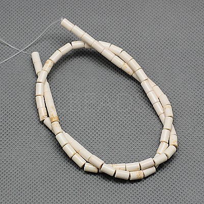 Synthetic Turquoise Beads Strands TURQ-G120-5x9mm-12-1