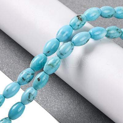 Natural Howlite Beads Strands G-H025-02B-1