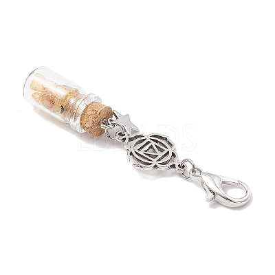 Chakra Natural Lapis Lazuli & Amethyst & Carnelian & Citrine & Garnet & Green Aventurine & Synthetic Turquoise Chips inside Glass Wishing Bottle Pendant Decoration HJEW-JM03308-1