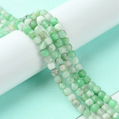 Natural Chrysoprase Beads Strands G-F748-F01-01B-1