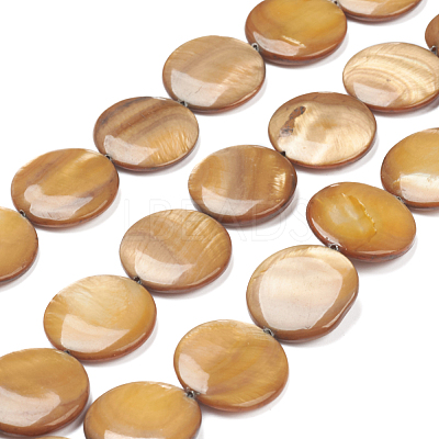 Natural Freshwater Shell Beads X-BSHE-I011-01A-01-1