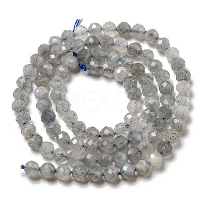 Faceted Round Natural Labradorite Bead Strands G-I156-03-4mm-1
