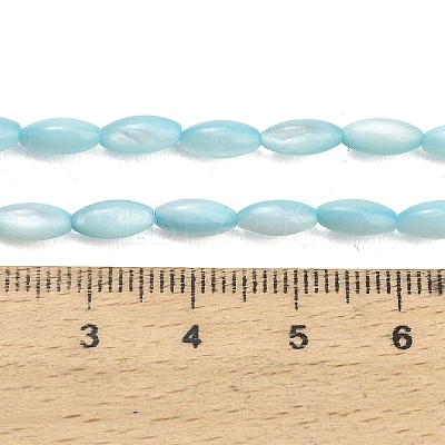 Natural Freshwater Shell Beads Strands SHEL-C010-01C-1