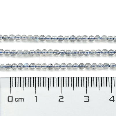 Natural Labradorite Beads Strands G-Z034-B04-02-1