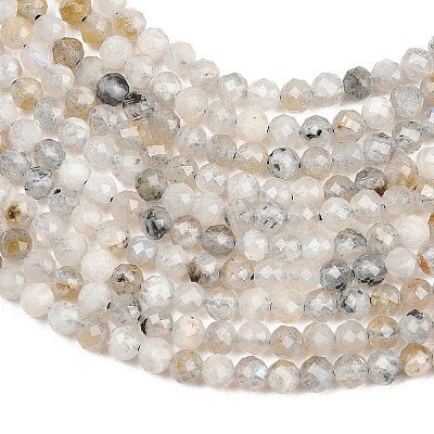 Natural Labradorite Beads Strands G-RM250104-A1-1