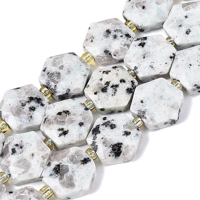 Natural Sesame Jasper Beads Strands G-N368-01A-19-1