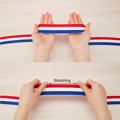 4.7 Yards Flat Nylon Striped Elastic Band OCOR-GF0003-84C-1
