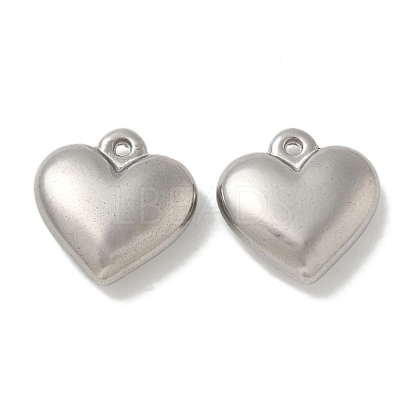 Anti-Tarnish 304 Stainless Steel Pendants STAS-Q334-21P-1