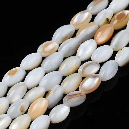 Natural Freshwater Shell Beads Strands SHEL-N003-25-C01-1