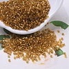 MIYUKI Delica Beads SEED-MY11-DB0065-1