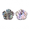Natural Paua Shell/Abalone Shell Beads SSHEL-R046-02-2