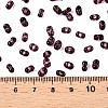 Picasso Spray Painted Glass Seed Beads SEED-T006-04-22-4