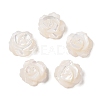 Natural White Shell Beads SSHEL-C012-06-1