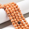 Natural Persian Jade Beads Strands G-A255-A02-02J-4
