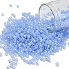 TOHO 8/0 Round Beads X-SEED-TR08-0146-1