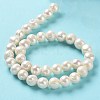 Natural Cultured Freshwater Pearl Beads Strands PEAR-E019-08-3