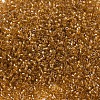 MIYUKI Delica Beads SEED-MY11-DB0065-3