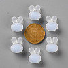 Transparent Acrylic Beads TACR-S152-12C-SS2113-3