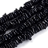 Natural Freshwater Shell Beads Strands SHEL-D078-01A-1