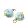 Natural Larimar Pendants PALLOY-JF05999-2