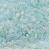 Ceylon Glass Seed Beads SEED-K009-02B-44-4