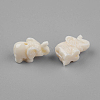 Elephant Resin Beads X-RESI-S046-07-2