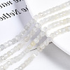 Natural White Moonstone Beads Strands G-N328-43-4