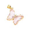 Glass Pendants GLAA-G075-01G-08-1